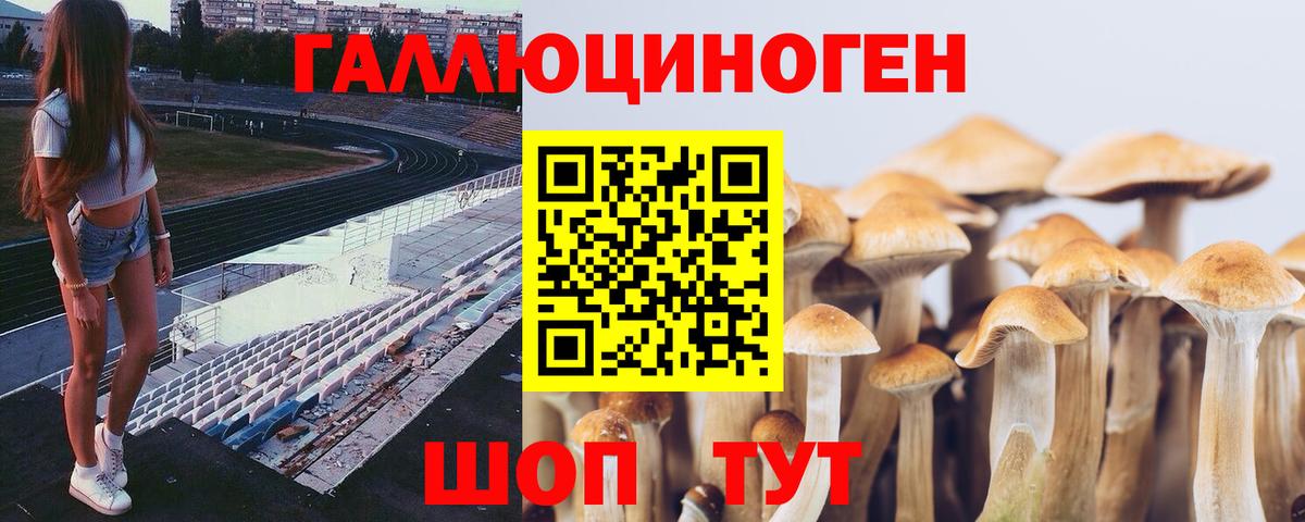 Галлюциногенные грибы ЛСД  Вход с VPN  Краснодар  Псилоцибиновые грибы ЛСД 