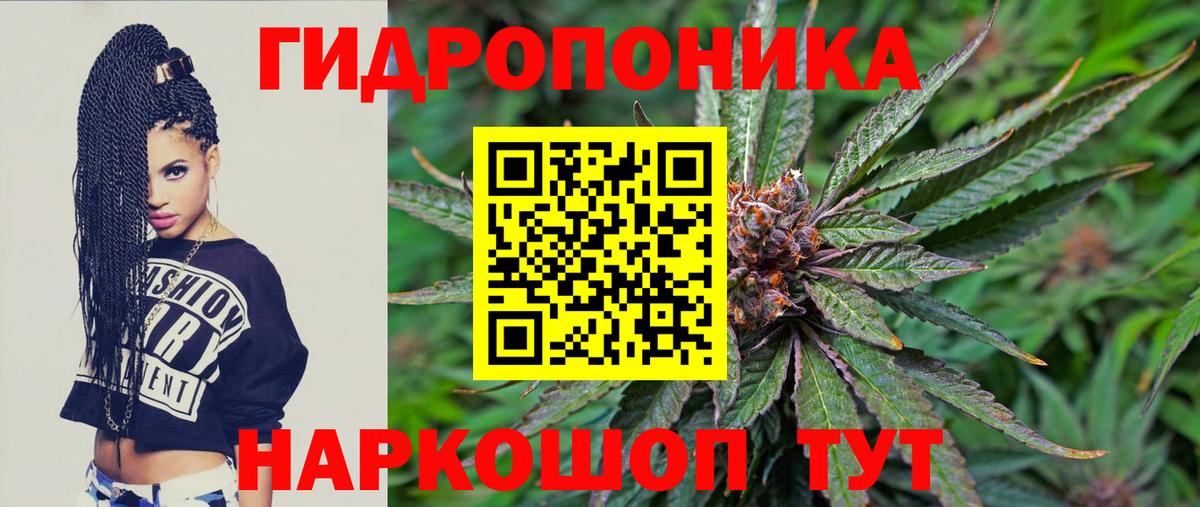 Канабис планчик  Конопля THC 21%  Канабис THC 21%  Краснодар  Вход с VPN 